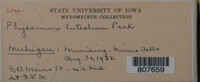 Image Associated With the Occurence
